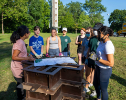 A team of student volunteers from the environmental club at Columbus North High School in Indiana helped UB architecture professor Joyce Hwang (far left) assemble the base structures for To Middle Species, With Love. Photo: Hadley Fruits