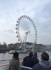 At nearly 443 feet tall, the London Eye is the world's largest cantilevered observation wheel.