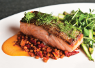 Grilled Faroe Islands salmon with roasted local asparagus, spring garlic vinaigrette and wheat berries.