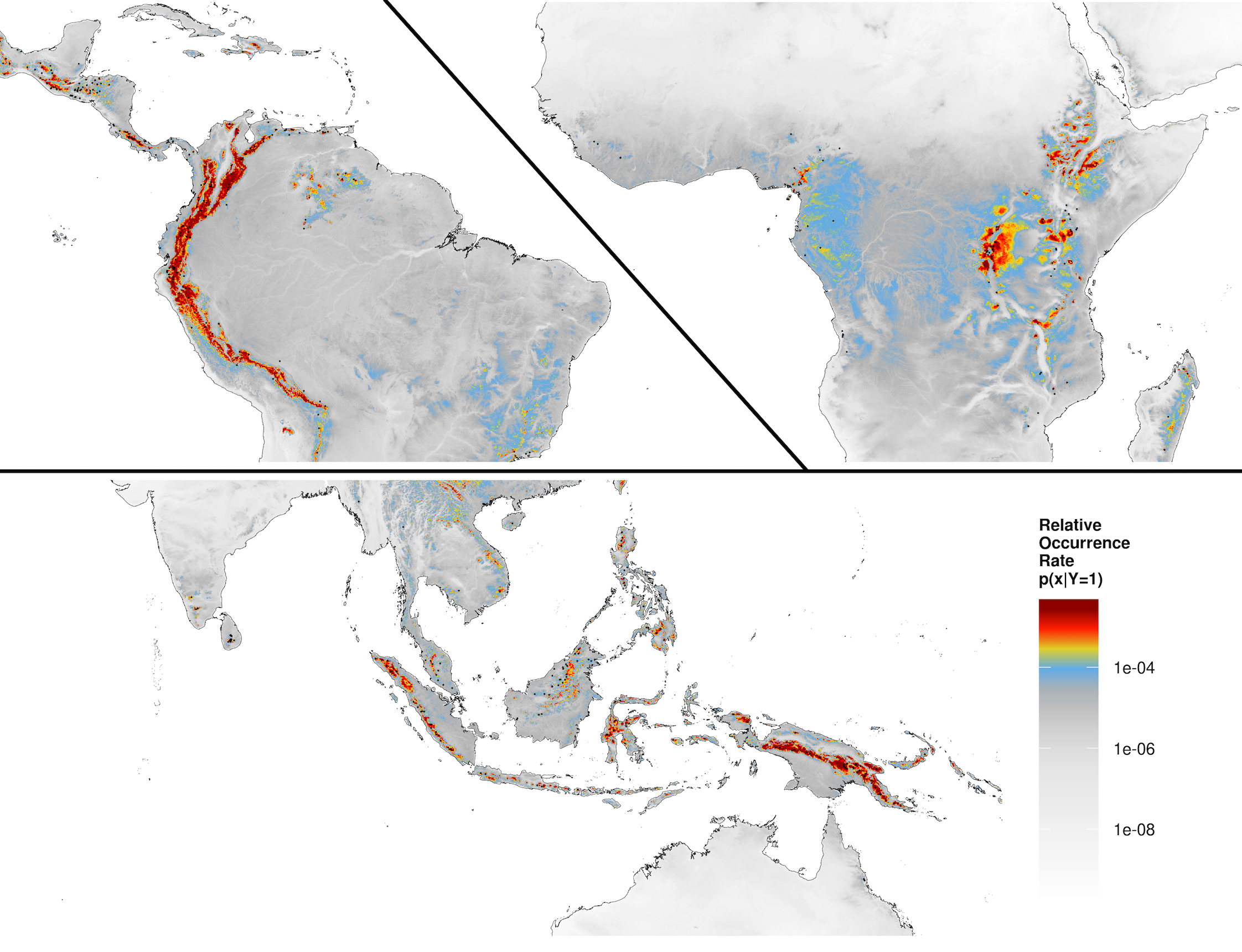 Os mapas mostram a distribuição de florestas tropicais de monhanha, usando dados de cobertura de satélites. Os satélites que observam a Terra fornecem muitos tipos de dados sobre os ecossistemas do planeta, e o Mapa da Vida começará a incorporar esses dados para melhorar o conhecimento geográfico de onde as espécies vivem. Crédito: Adam Wilson e Walter Jetz, PLOS Biology, 2016