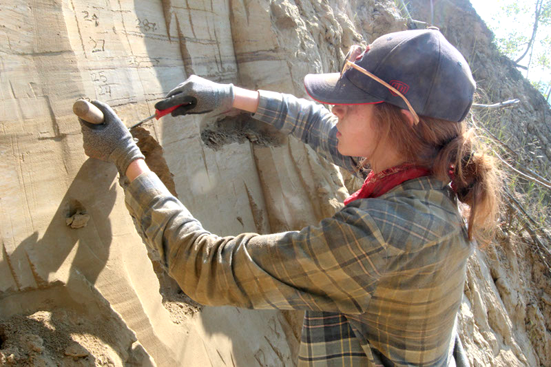 Elizabeth Thomas (izquierda), profesora asistente de geología de la Universidad de Buffalo, y Kayla Hollister (derecha), estudiante de maestría en geología de la UB, toman notas mientras se posan en una pared de sedimentos. Crédito: Britta Jensen