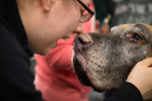 Biomedical sciences student Paige Guy gets up close and personal with Murphy.