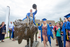 A graduate celebrates his accomplishments atop the bronze buffalo.
