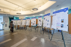 Poster presentations of the fellows' projects.