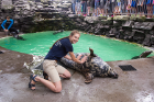 Elizabeth Kaplan with Della, the aquarium's 27-year-old gray seal.