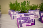 The Lavender Reception is one of four university-wide recognition ceremonies held during commencement season.