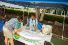 Linda Young stops by a table staffed by Mary McCarthy to get information on the Capen Garden Walk, which also was taking place that day in the neighborhood. 