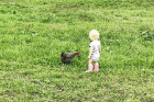 Flora visits with one of the family's chickens.