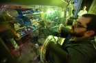 Chemistry PhD student Anthony Cannella works with a glovebox, a contained workspace where scientists can conduct experiments in a highly controlled environment free of oxygen and moisture. Cannella’s research focuses in part on studying the properties of iron-based compounds that mimic non-heme enzymes, which carry out a number of important biological processes in the human body.