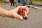 DiemKaye holds up a hollow glassy bubble that formed from lava ejected from the container by the explosion. After photographing these and other remnants of the explosion, scientists clean it all up. It’s a long day: The researchers are usually on-site at the field station until about 7 p.m., about 10 hours after they arrive. Photo: Charlotte Hsu