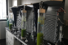 Ian Bradley’s research group grows different types of pure culture algae in the lab to determine how the algae treat wastewater and to test DNA sequencing methods.