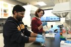 PhD student Mahbub Alam (left) and recent graduate Charlotte Kuhl prepare algal biomass for DNA extraction and analysis. 
