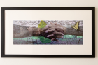 Stephen Marc, untitled montage, 2005; archival ink jet print on paper. The forest in upstate New York is the backdrop for the arms of an underground railroad descendant covered with wormwood and a tobacco leaf, and text from an 1835 "last will and testament" referencing the distribution of slaves.