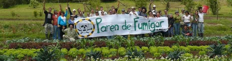 Photograph of activists in Costa Rica, courtesy of Fabian Pacheco, 2014. 