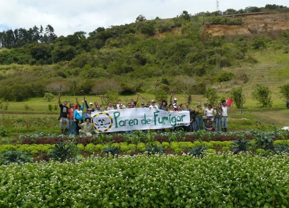 Activists organized against the dramatic rise in pesticide use in Costa Rica under the slogan “Paren de fumigar” (or “Stop spraying [pesticides]”). As a result of their efforts, more than 21 municipalities passed prohibitions on the use of herbicides, including glyphosate, in public areas in 2019. Photo courtesy of Fabián Pacheco. 