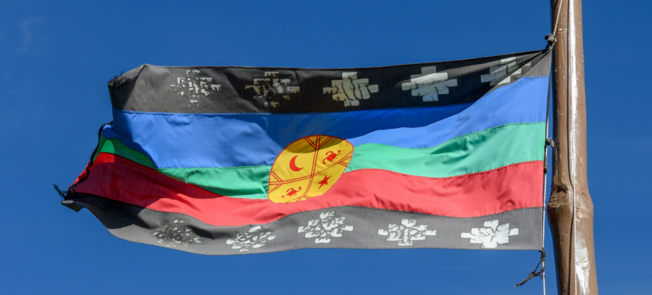 Flag of the Mapuche People. 