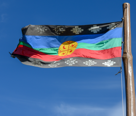 Flag of the Mapuche People. 