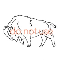 Old charging Buffalo logo. 