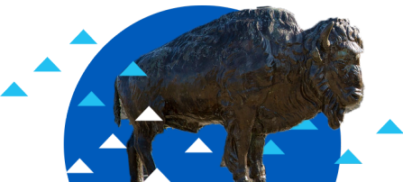Bonze Buffalo click to log in to the announcement page. 