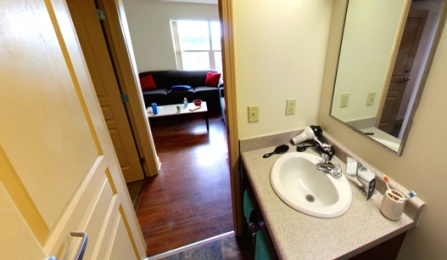 Flint Village 1 bed 1 bath Standard Bathroom (Panoramic View). 