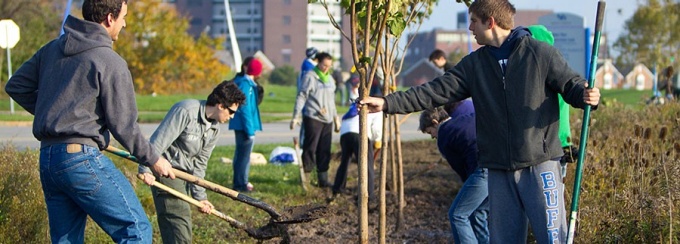 students planting tree. 