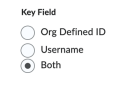 Zoom image: Key field options. Make sure "both" is selected. 