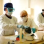 Researchers working in a laboratory. 