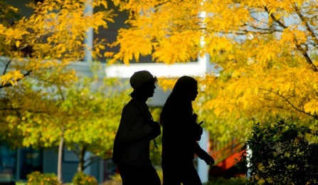 women walking in silhouette on campus. 