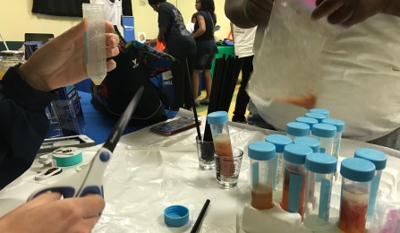 Members of the public learn how to extract DNA at a health fair. 