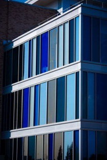 Blue windows on the Pharmacy Building. 