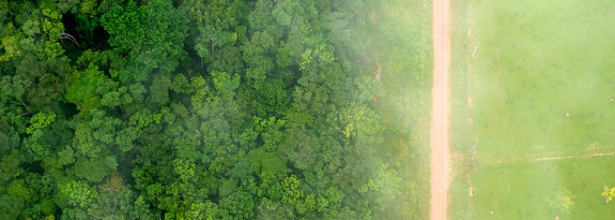 Deforestation, Kate Evans CIFOR, February 2013, Modified. 