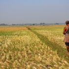 Farmer in Orissa, India, Photo by Daniela Leon. 