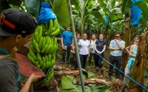 Students tour a banana plantation in Costa Rica. 
