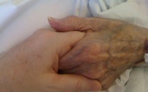 Photo of two hands together. 