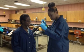 students in intro to lab skills course. 