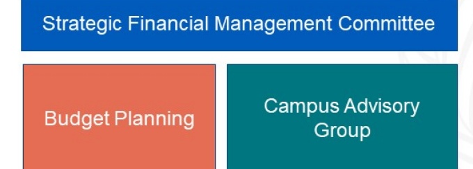 Strategic Financial Management Advisory Group structure. 