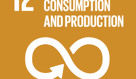 Sustainable Development Goals 12 responsible consumption and production icon. 