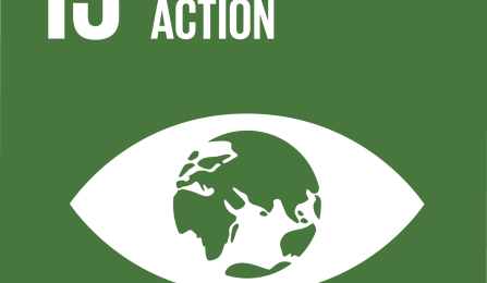 Sustainable Development Goals 13 climate action icon. 