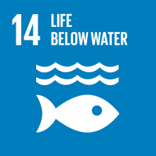 Sustainable Development Goals 14 life below water icon. 
