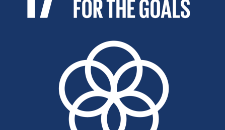 Sustainable Development Goals 17 partnerships for the goals icon. 