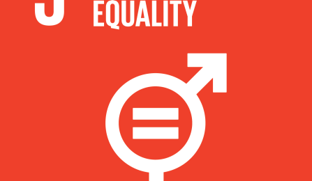 Sustainable Development Goal Five: Gender Equality icon. 