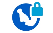 virtual private network represented by a globe with a lock. 
