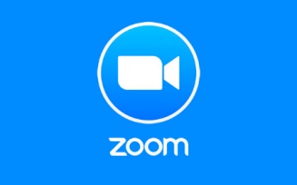 See Zoom's instructional videos. 