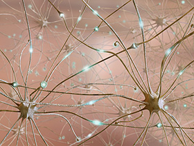 Identifying how parkin gene works