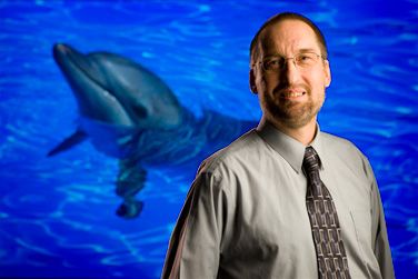 Dolphins may share with humans the ability reflect upon their states of mind, says psychologist David Smith.