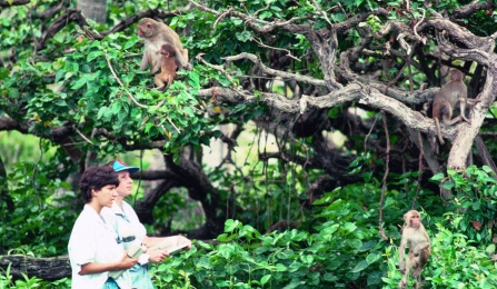 Researchers with primates. 