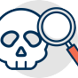 Illustration of a human skull with a magnifying glass, representing biological anthropology. 