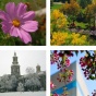 Winter, Spring, Summer, Fall. 