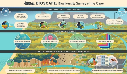 BioSCape project. 