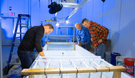 Adam Grodek, Sean Bennett and Kevin Cullinan observe emerald shiner minnows swim in an experimental flume.
